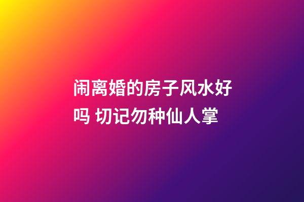 闹离婚的房子风水好吗 切记勿种仙人掌